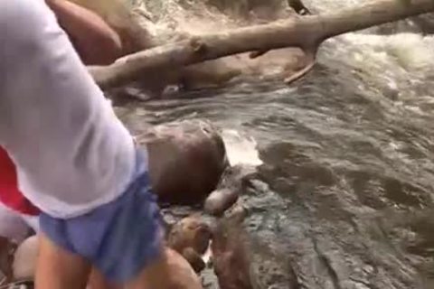 Latino guy Gives bj And Jacks Off In A Stream outside