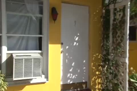 Dilfersons- Factory clip