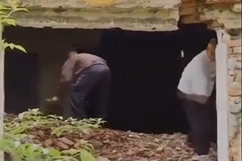 3some teen orgy On The Farm