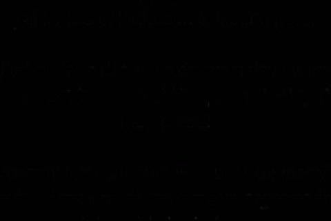 Petit Cochon goo flow