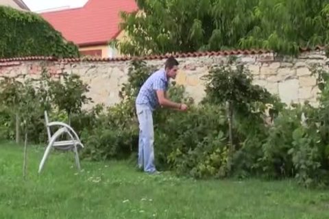 wild gay chap Sucks Boyfriends weenie And bonks Him In The anal