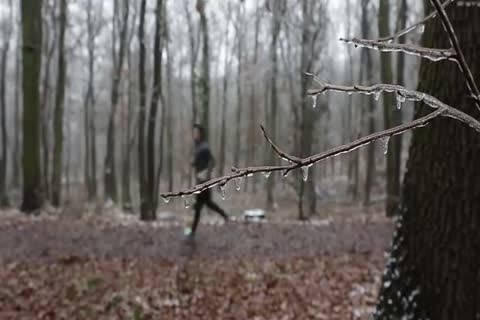 Play The Flute For Sex