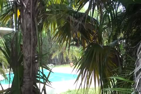 engulfing His Boyfriends Manhood.