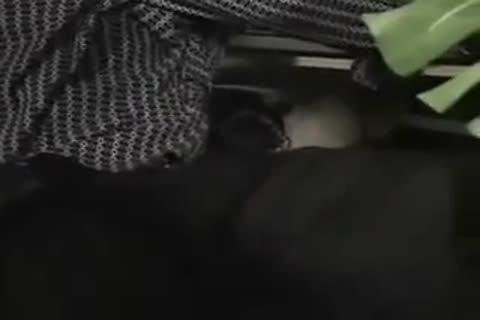 monstrous dark rod bangs White teen