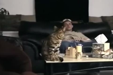 Gulping Straight lad Marshalls love juice