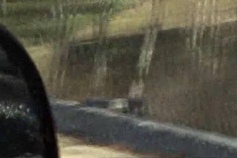 attractive twink Sucks black penis