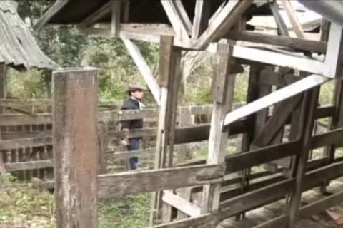 Latino Barebacking Barn plow