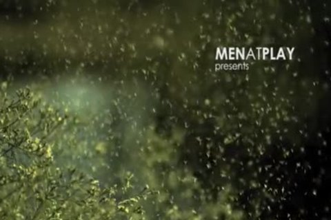 1609 Bullfighter 4032 480