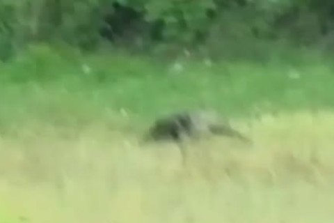 Gage Winchester likes Busting his nuts