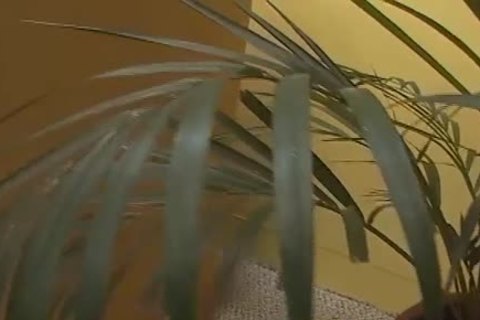 Two amateur teens Alfredo And Roger Know How To Party