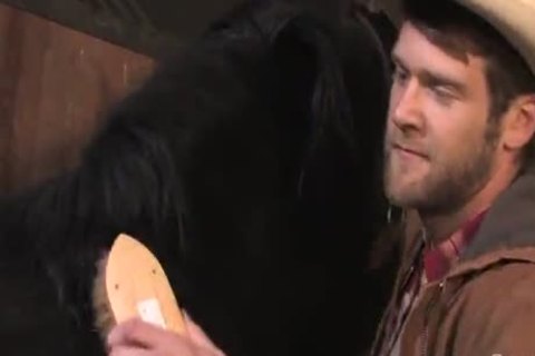 FS ColbyK ParkerL 360p