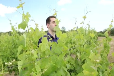 Lance Taylor & Dante Martin