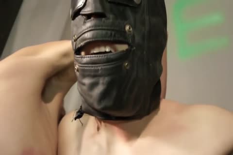 bdsm thraldom man Whipped, Waxed, Milked