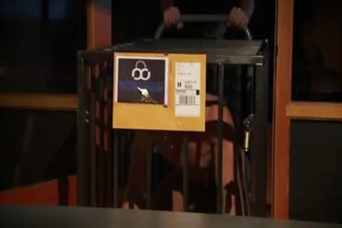 User_Uploaded_titan__52_.mp4