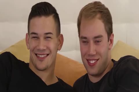 The Elf And The Prince