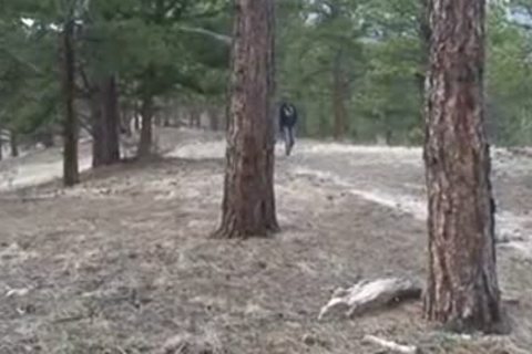 Straights Go homo For discharge