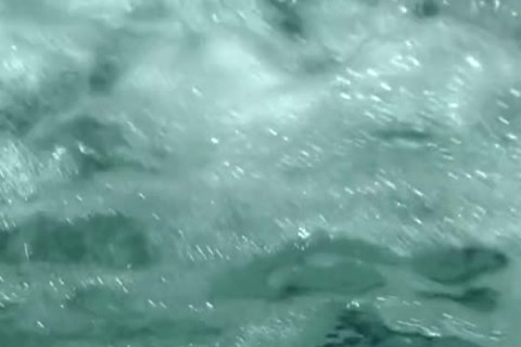 web camera And Trent