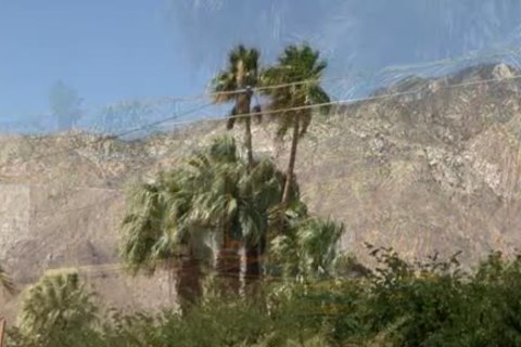 My hairy Uncle - Spencer Whitman, Austin Ryder