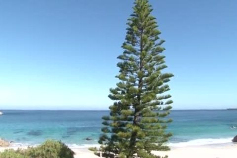 Sooo young And stunning raw