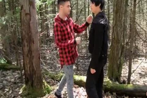 slutty boyz Daniel And Zac swap weenies In The Woods before Heading Back For The Real Action