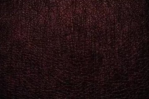 LucasF GabrielL AndyS