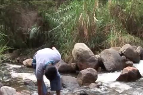 non-professional Latin engulfing