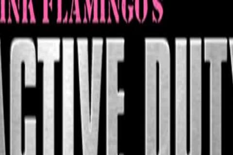 Dominic & Ivan James