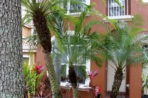 Alessandro And Braxton Www.blogmaxegatos.co