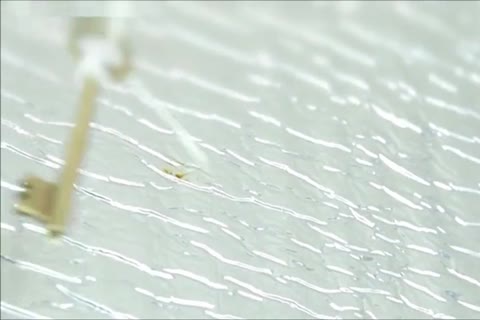 homosexual Sex serf 0593