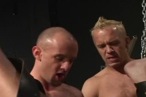 Captured: Scene 4  weenie Barry , Vin Nolan