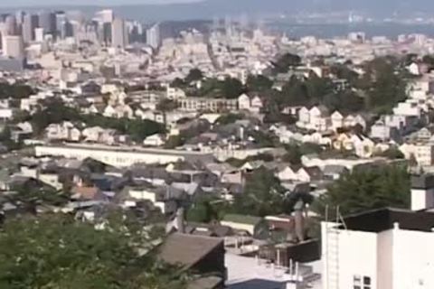 Al, Steve, And Steve bang bare