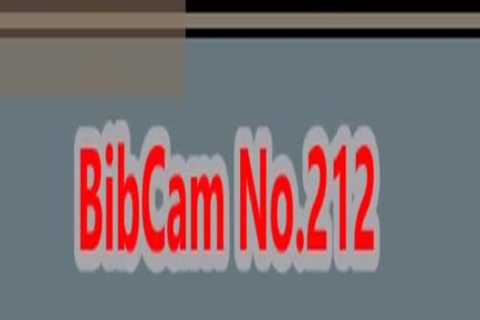 BibCam No. 212 - 18.05.2017 Sammy Martin Und To