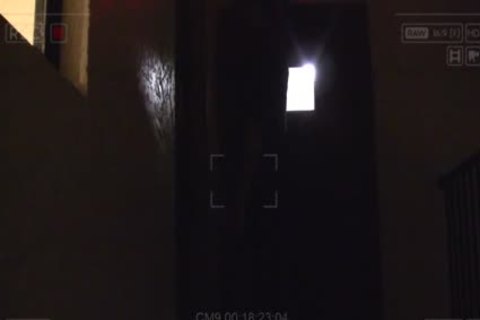 Creeper