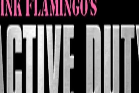 J0hnny & Quent1n G4inz BB,FF - Ml.