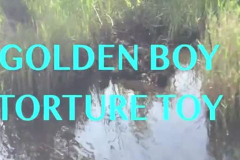 Golden boy torment toy