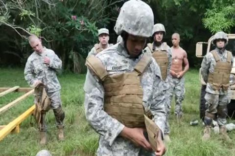 Jungle bang Fest black LATIN