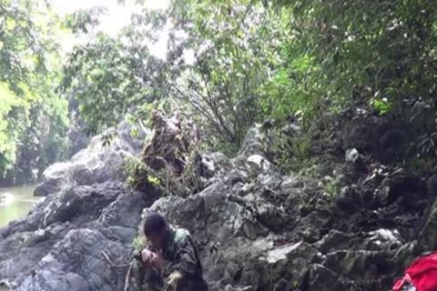 Brazilian Recruits In The Forest