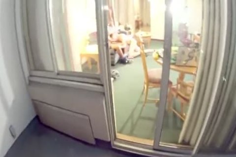 YB Interacial Breeding