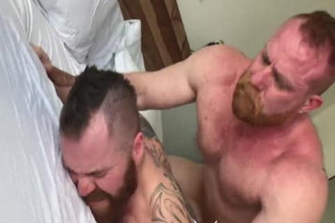 bare Bear's Breeding Zach & Eisen