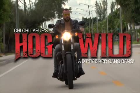 Hog fine (full clip)