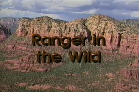 Ranger In The pretty