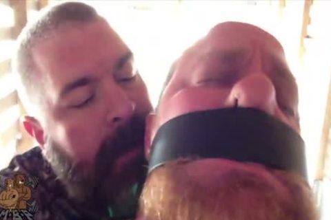 Smart-Mouthed Ginger Cub