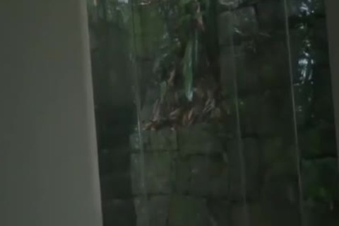 The Beach abode Hidden In The Jungle Pt.two