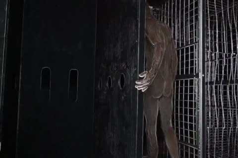 Sex Club fuckfest