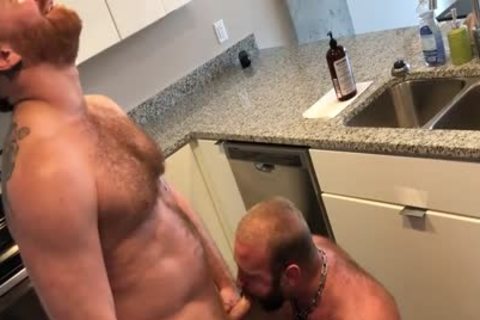 Bears Breeding