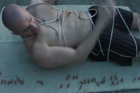 small Army Vs biggest gigantic