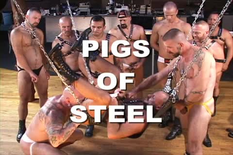 Pigs Of metallic