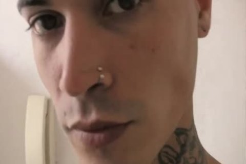 Punk Regresa Por Mas Polla