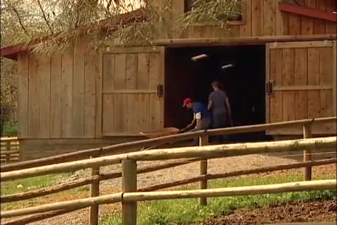 SEX FARM