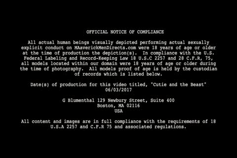 DEREK - beauty AND THE animal - MMD